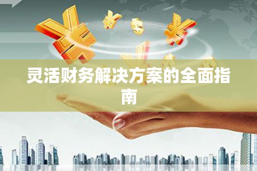 镇康灵活财务解决方案的全面指南