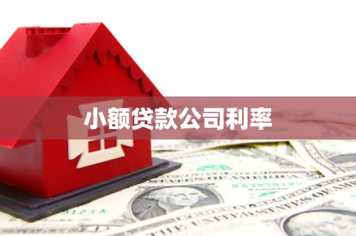 镇康小额贷款公司利率