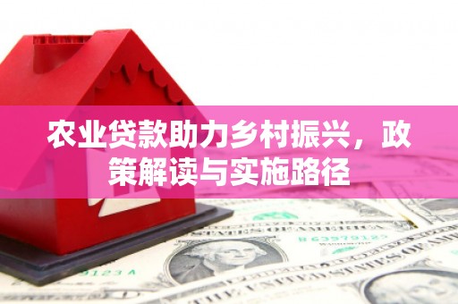 镇康农业贷款助力乡村振兴，政策解读与实施路径