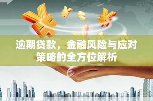 镇康逾期贷款，金融风险与应对策略的全方位解析