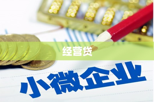 镇康经营贷