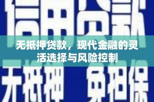 镇康无抵押贷款，现代金融的灵活选择与风险控制