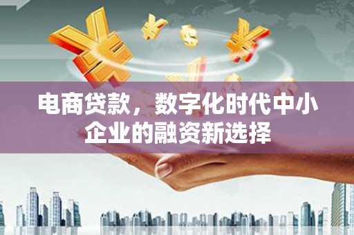 镇康电商贷款，数字化时代中小企业的融资新选择