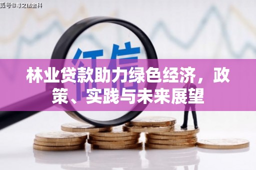 镇康林业贷款助力绿色经济，政策、实践与未来展望