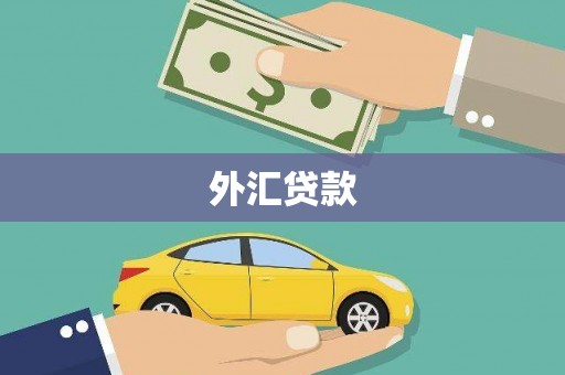 镇康外汇贷款
