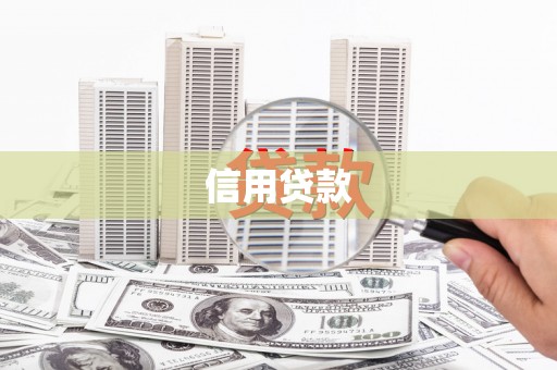 镇康信用贷款