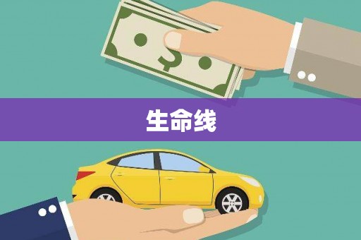 镇康生命线