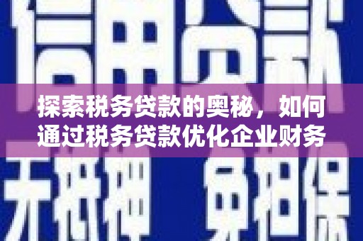 镇康探索税务贷款的奥秘，如何通过税务贷款优化企业财务