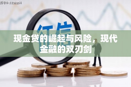镇康现金贷的崛起与风险，现代金融的双刃剑