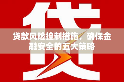 镇康贷款风险控制措施，确保金融安全的五大策略