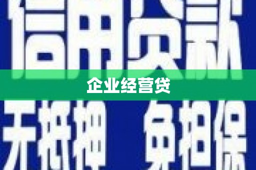 镇康企业经营贷