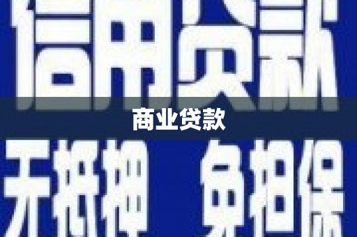 镇康商业贷款