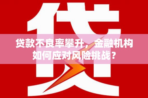 镇康贷款不良率攀升，金融机构如何应对风险挑战？