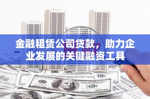 镇康金融租赁公司贷款，助力企业发展的关键融资工具