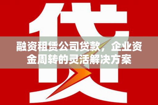 镇康融资租赁公司贷款，企业资金周转的灵活解决方案