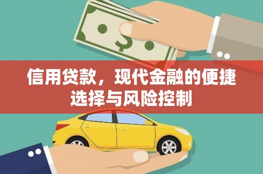 镇康信用贷款，现代金融的便捷选择与风险控制