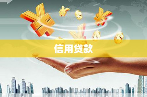镇康信用贷款