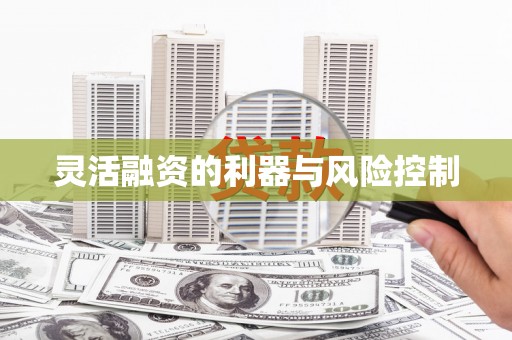 镇康灵活融资的利器与风险控制