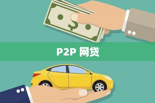 镇康P2P 网贷