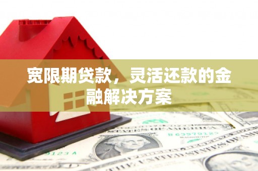 镇康宽限期贷款，灵活还款的金融解决方案