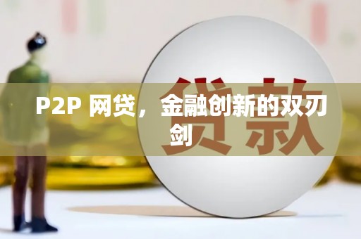 镇康P2P 网贷，金融创新的双刃剑