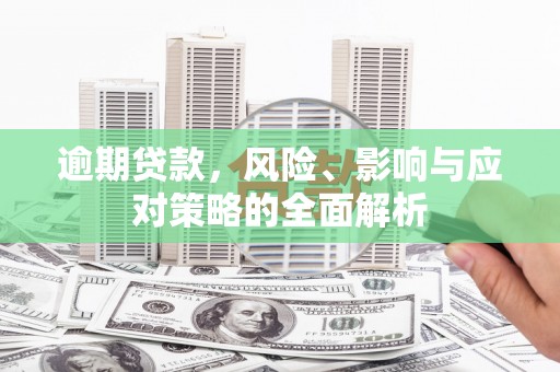 镇康逾期贷款，风险、影响与应对策略的全面解析