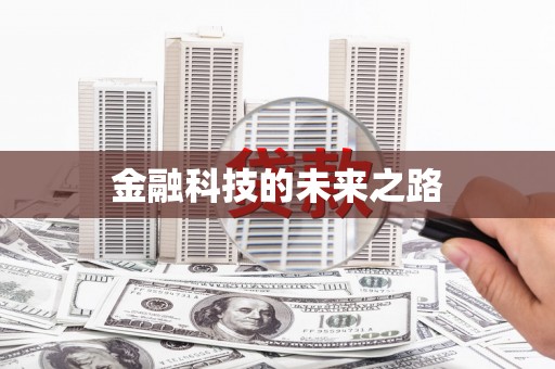 镇康金融科技的未来之路