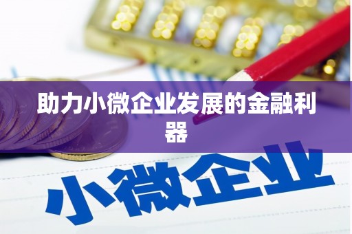 镇康助力小微企业发展的金融利器