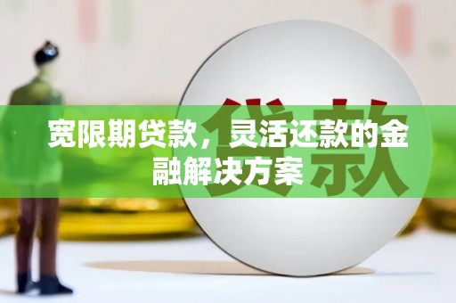 镇康宽限期贷款，灵活还款的金融解决方案