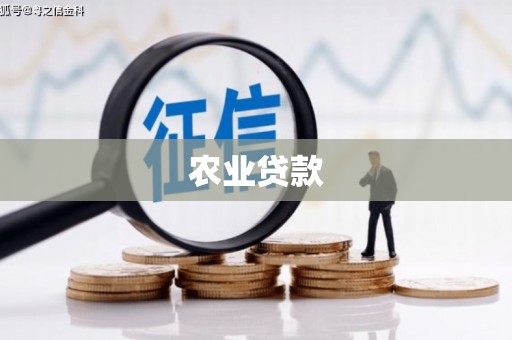 镇康农业贷款