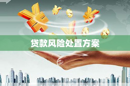 镇康贷款风险处置方案