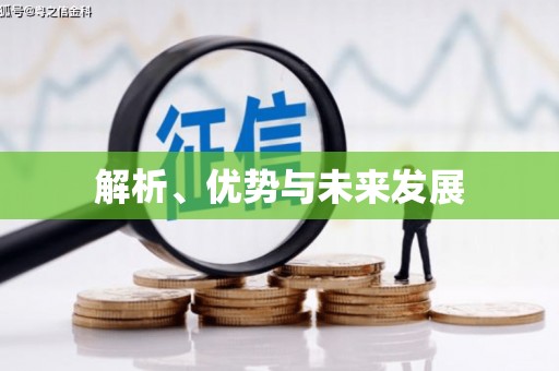 镇康解析、优势与未来发展