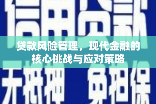 镇康贷款风险管理，现代金融的核心挑战与应对策略