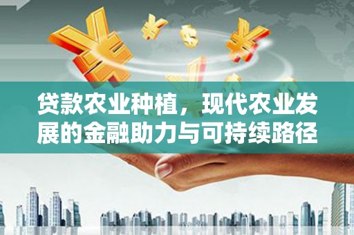 镇康贷款农业种植，现代农业发展的金融助力与可持续路径