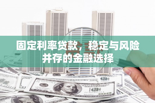 镇康固定利率贷款，稳定与风险并存的金融选择