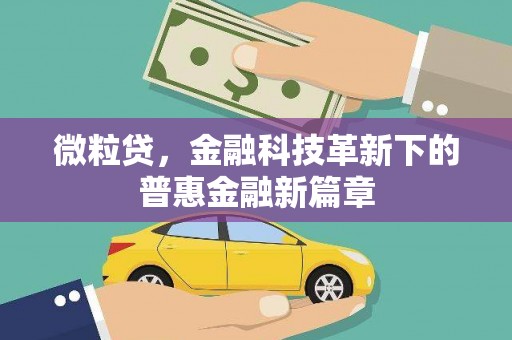 镇康微粒贷，金融科技革新下的普惠金融新篇章