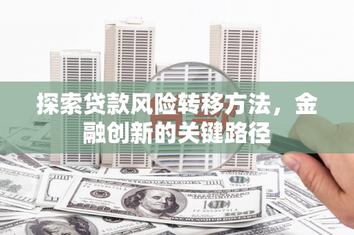镇康探索贷款风险转移方法，金融创新的关键路径
