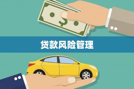 镇康贷款风险管理