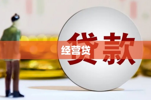 镇康经营贷