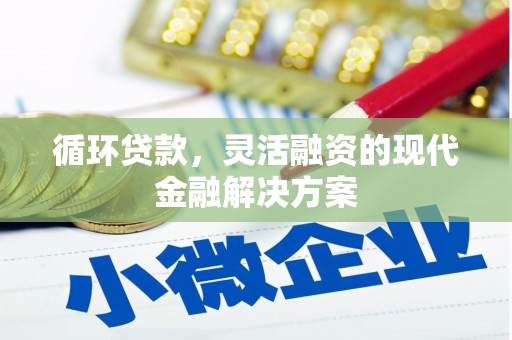 镇康循环贷款，灵活融资的现代金融解决方案