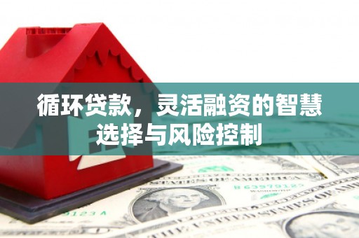 镇康循环贷款，灵活融资的智慧选择与风险控制