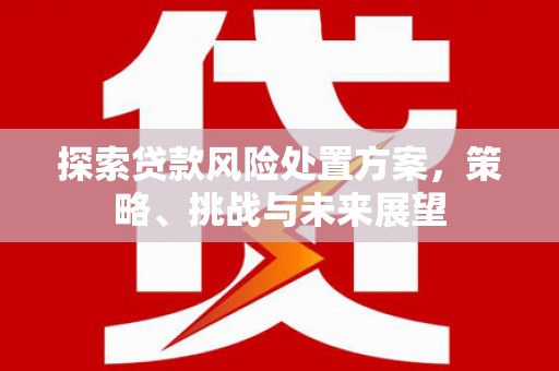 镇康探索贷款风险处置方案，策略、挑战与未来展望