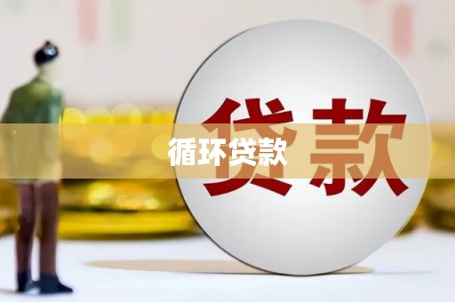 镇康循环贷款