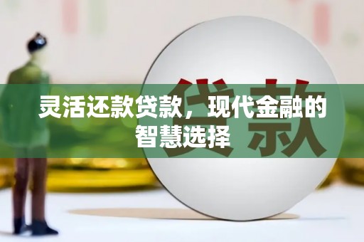 镇康灵活还款贷款，现代金融的智慧选择