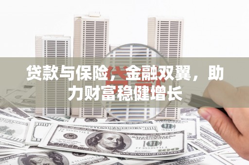 镇康贷款与保险，金融双翼，助力财富稳健增长