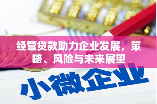 镇康经营贷款助力企业发展，策略、风险与未来展望