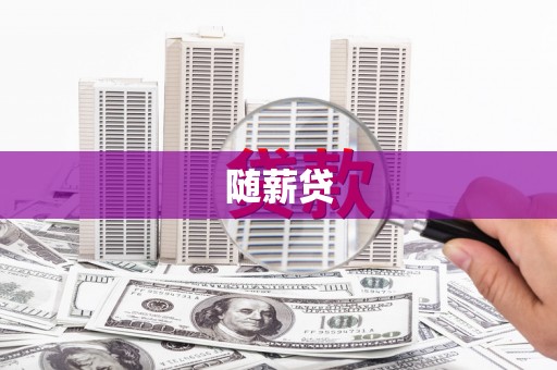 镇康随薪贷