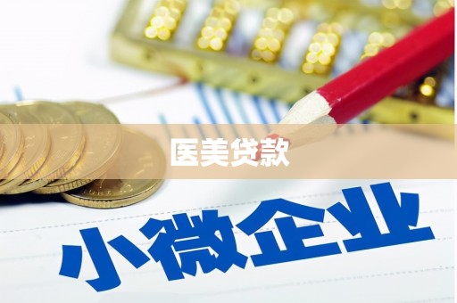 镇康医美贷款