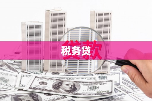 镇康税务贷