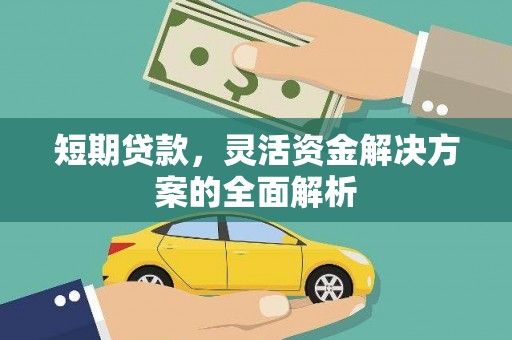镇康短期贷款，灵活资金解决方案的全面解析